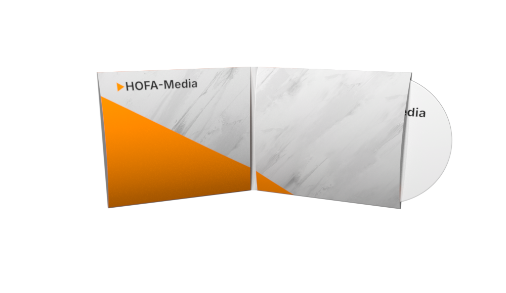 Setartikel DigiSleeve  4, 2 Sleeve